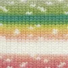 white-rainbow-1125-0006
