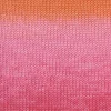 rosa-orange-rot-926-0208