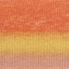 orange-gelb-apricot-926-0209