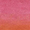 rosa-orange-rot-37-0016