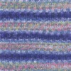 blue-rose-1140-0008