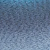 blau-1109-0006