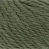 spirulina-1000-0118