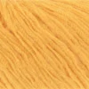 daffodil-1138-0114