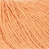 apricot-1159-0027