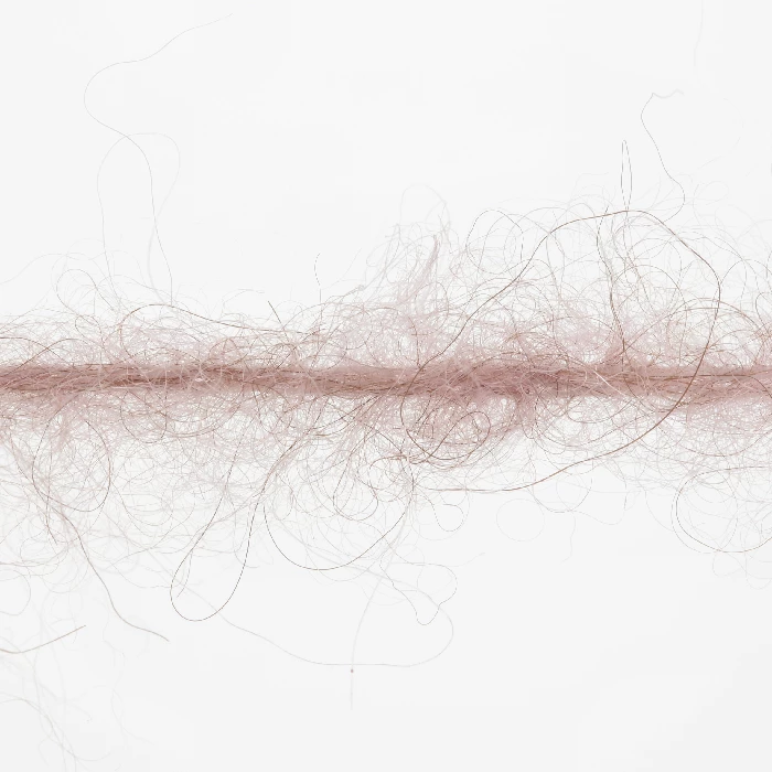 Lang Yarns Wolle
