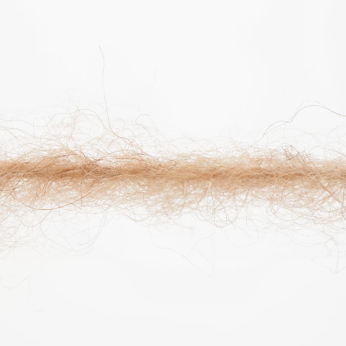 Lang Yarns Wolle