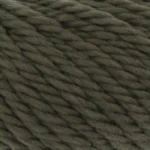 Fern 1000.0217
