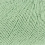 Erbse 1062.0116