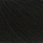 Schwarz 1103.0104