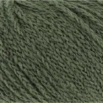 Fern 1124.0217