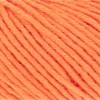 orange-neon-1128-0259