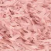 flamingo-1185-0019