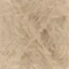 camel-1171-0039