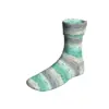 tuerkis-grau-offwhite-1152-chickweed-641-0559